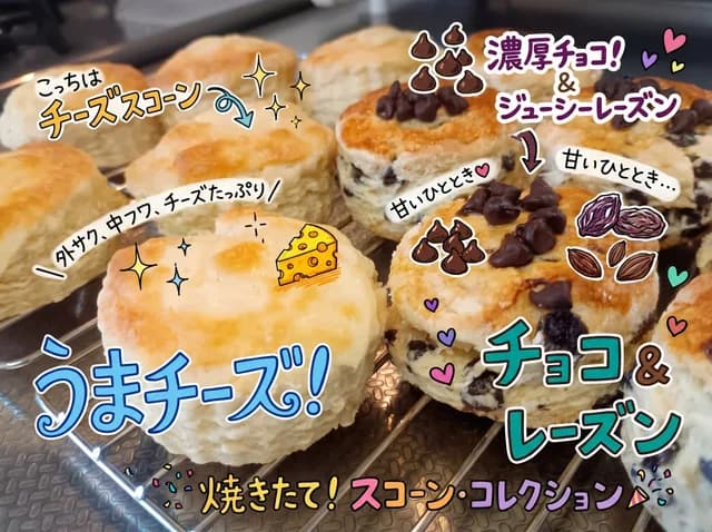彩色注释烤饼照片 preview image 1
